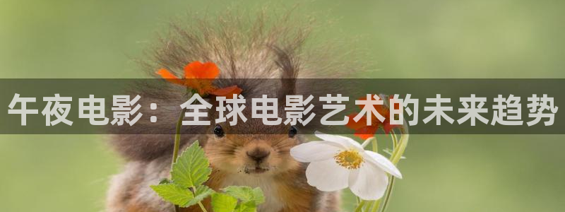 星空播剧