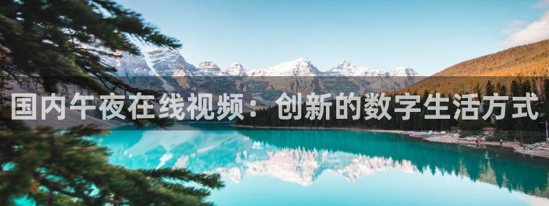星空高清电影免费观看