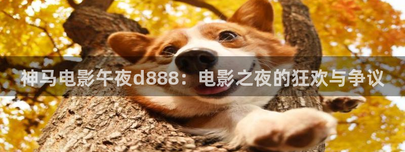 璀璨人生免费观看全集蜜桃视频