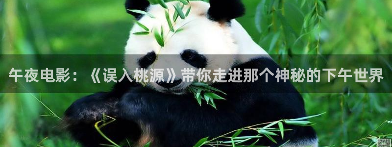 星空影视软件