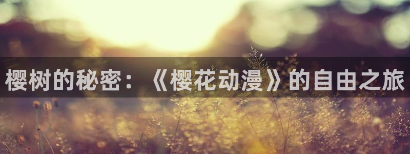星空影视app最新版下载安装