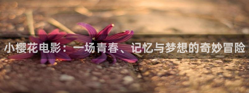 星空无限影院在线观看