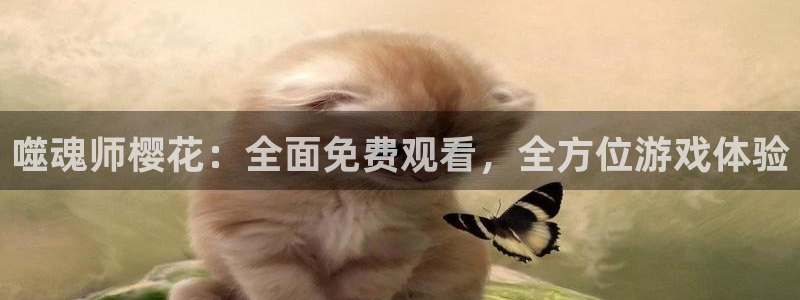 蜜桃视频官网下载
