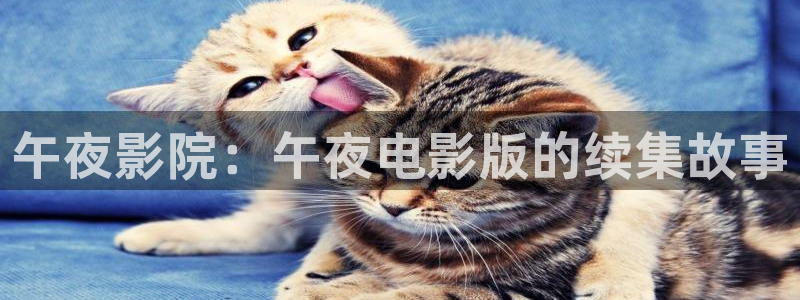 星空影视app