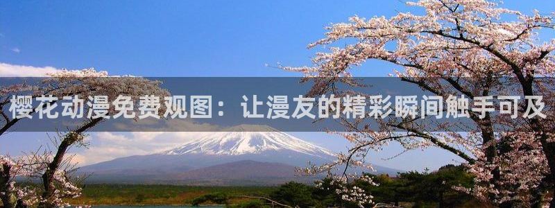 星空影视电视剧