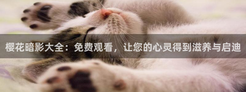 乳房与月亮免费观看星空影视