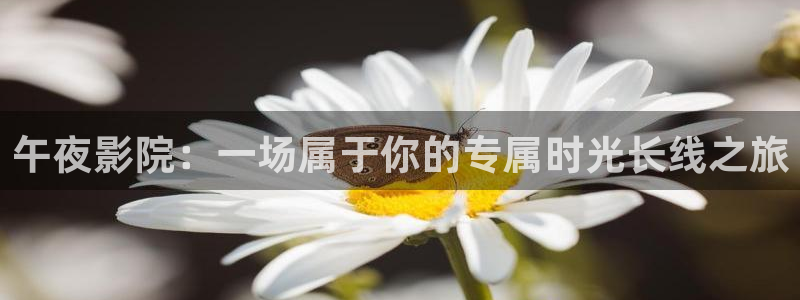 星空糖心