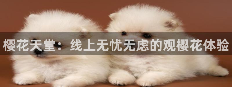 蜜桃视频最新最好看的电影电视剧