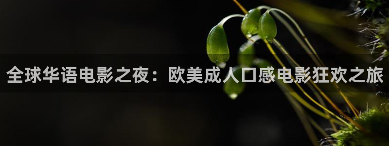 贵阳星空双巨幕影城