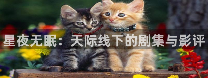 星空视频影视大全免费观看