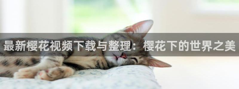 草莓视频在线免费观看蜜桃视频
