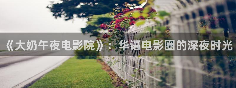 影视厅星空顶