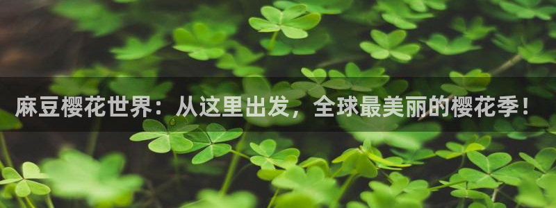 外出2蜜桃视频免费观看电影