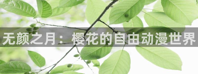 蜜桃视频影视在线