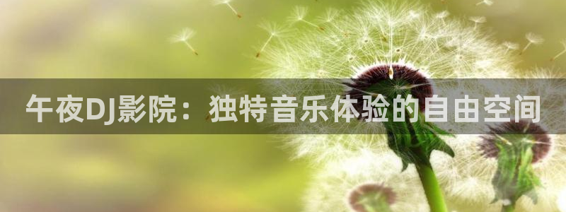 星空影视电视版