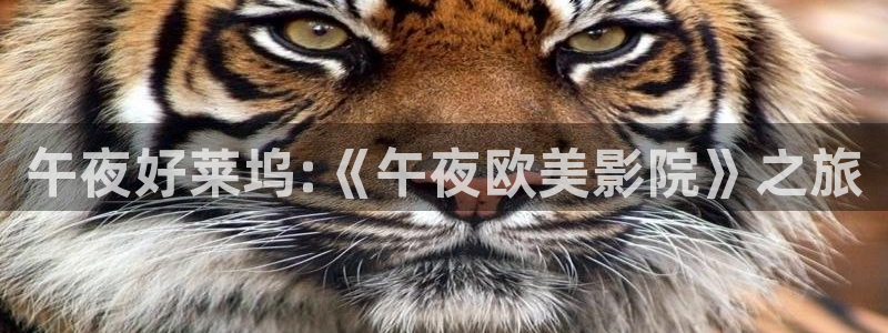 蜜桃视频私人影院
