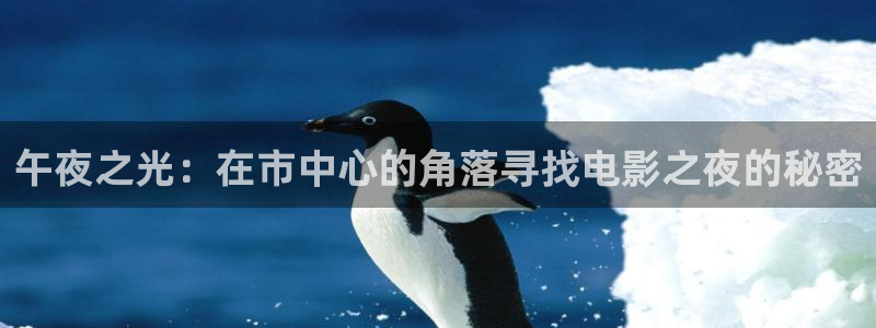 星空影视在线完整免费观看