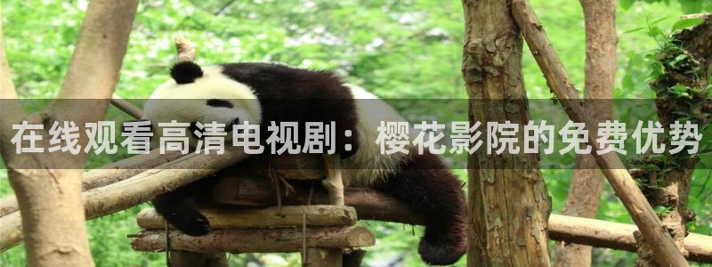 蜜桃视频免费在线观看